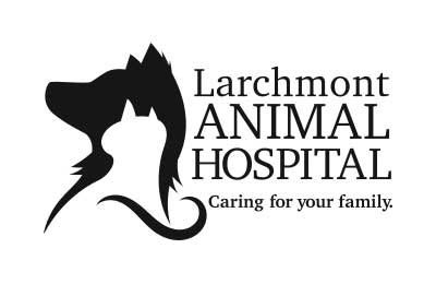 Larchmont Animal Hospital